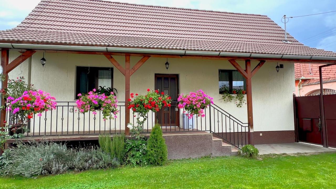 Siebenbuerger Haus Villa Sibiu Bagian luar foto